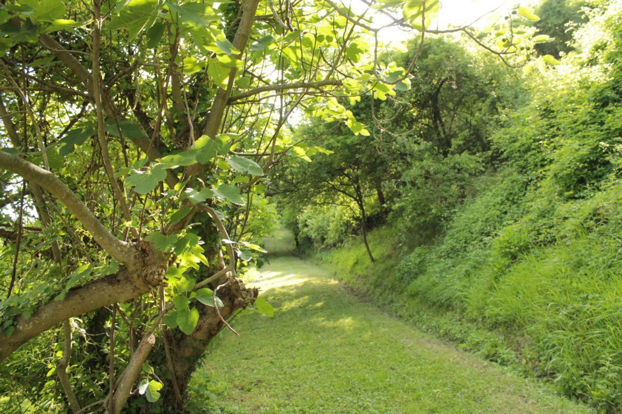 Boscobo - Relax & Natura Bolonha Exterior foto